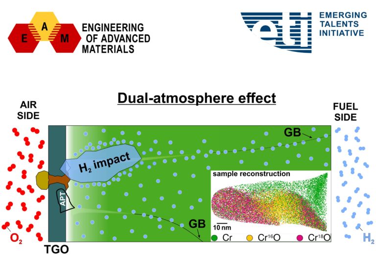 FAU funding for Martin Weiser